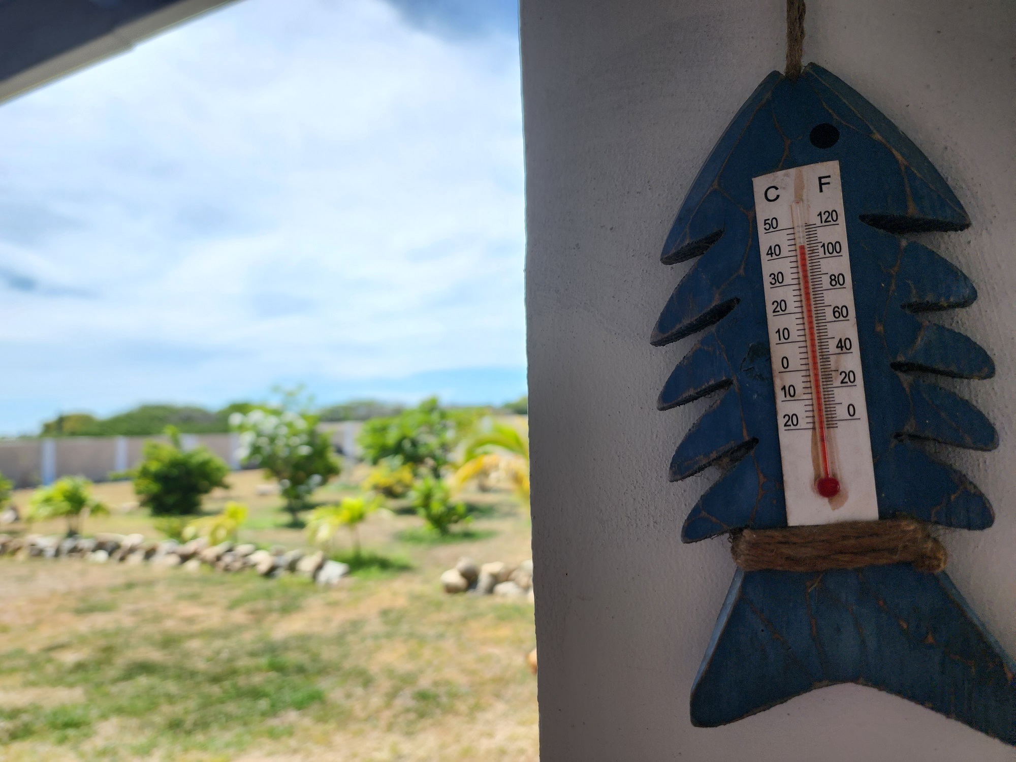 Het is extreem warm op Aruba. Wat is er aan de hand?